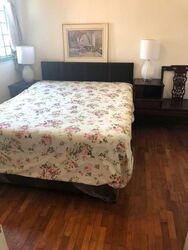 The Sunny Spring (D14), Apartment #556775231
